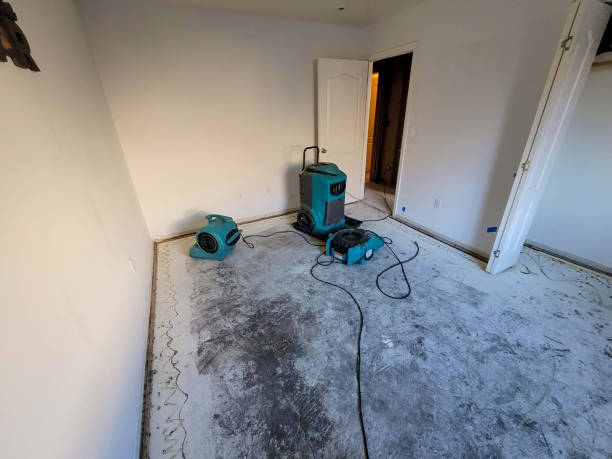 Best Emergency water extraction  in Stockbridge, MI