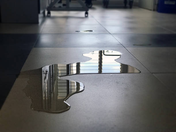 Best Water damage restoration specialists  in Stockbridge, MI