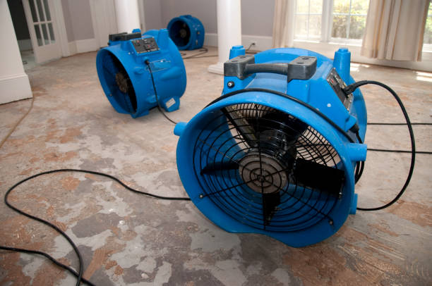 Best Fire Damage Restoration  in Stockbridge, MI