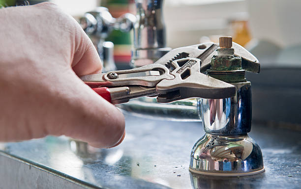 Best Sewage cleanup and water damage restoration  in Stockbridge, MI