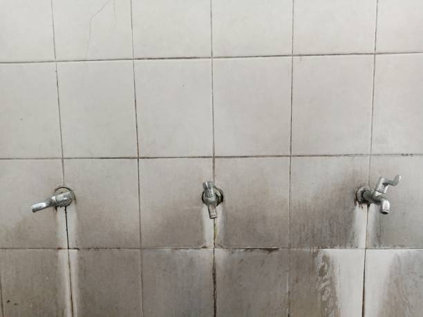 Water damage restoration mold remediation in MI