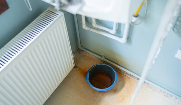 Best Residential water damage restoration  in Stockbridge, MI