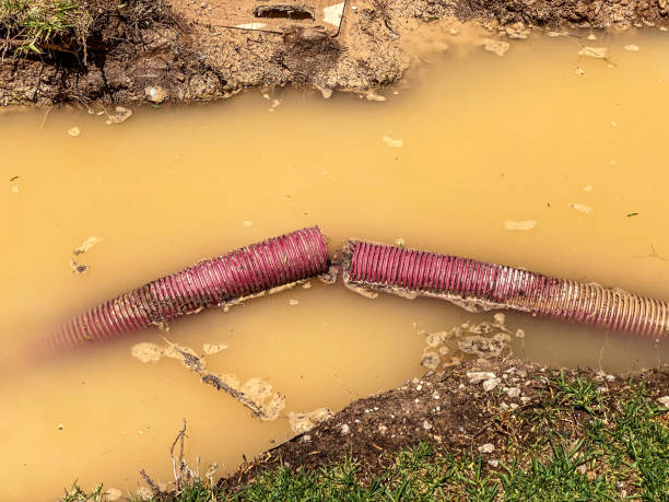 Best Water damage restoration near me  in Stockbridge, MI