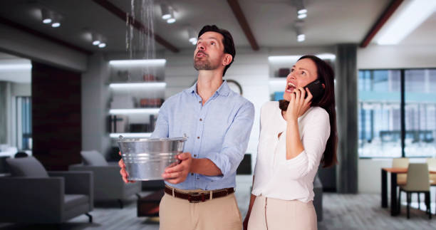 Best Water damage restoration company  in Stockbridge, MI