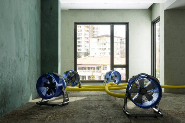 Best Carpet water damage restoration  in Stockbridge, MI
