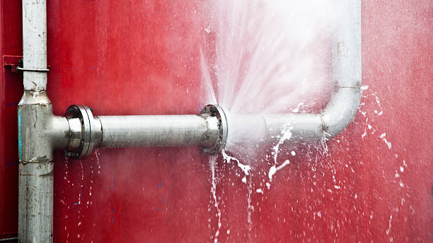 Best Professional water damage repair  in Stockbridge, MI