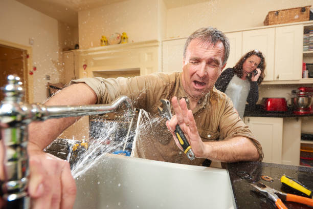 Best Ceiling water damage repair  in Stockbridge, MI
